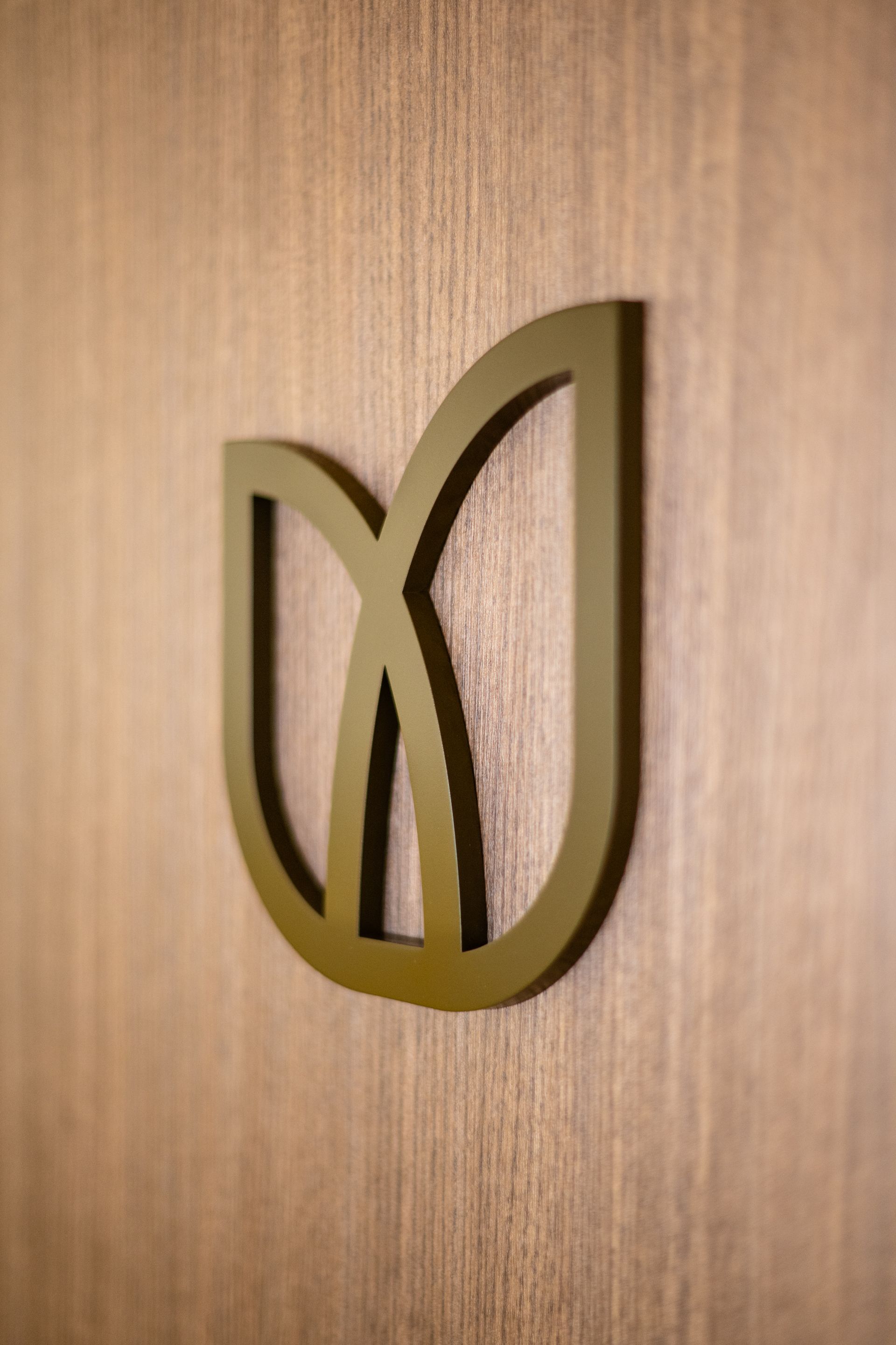 A close up of a logo on a wooden wall.