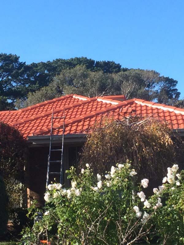 A Ladder on the Roof — Somerville, VIC — Watkins Roofing