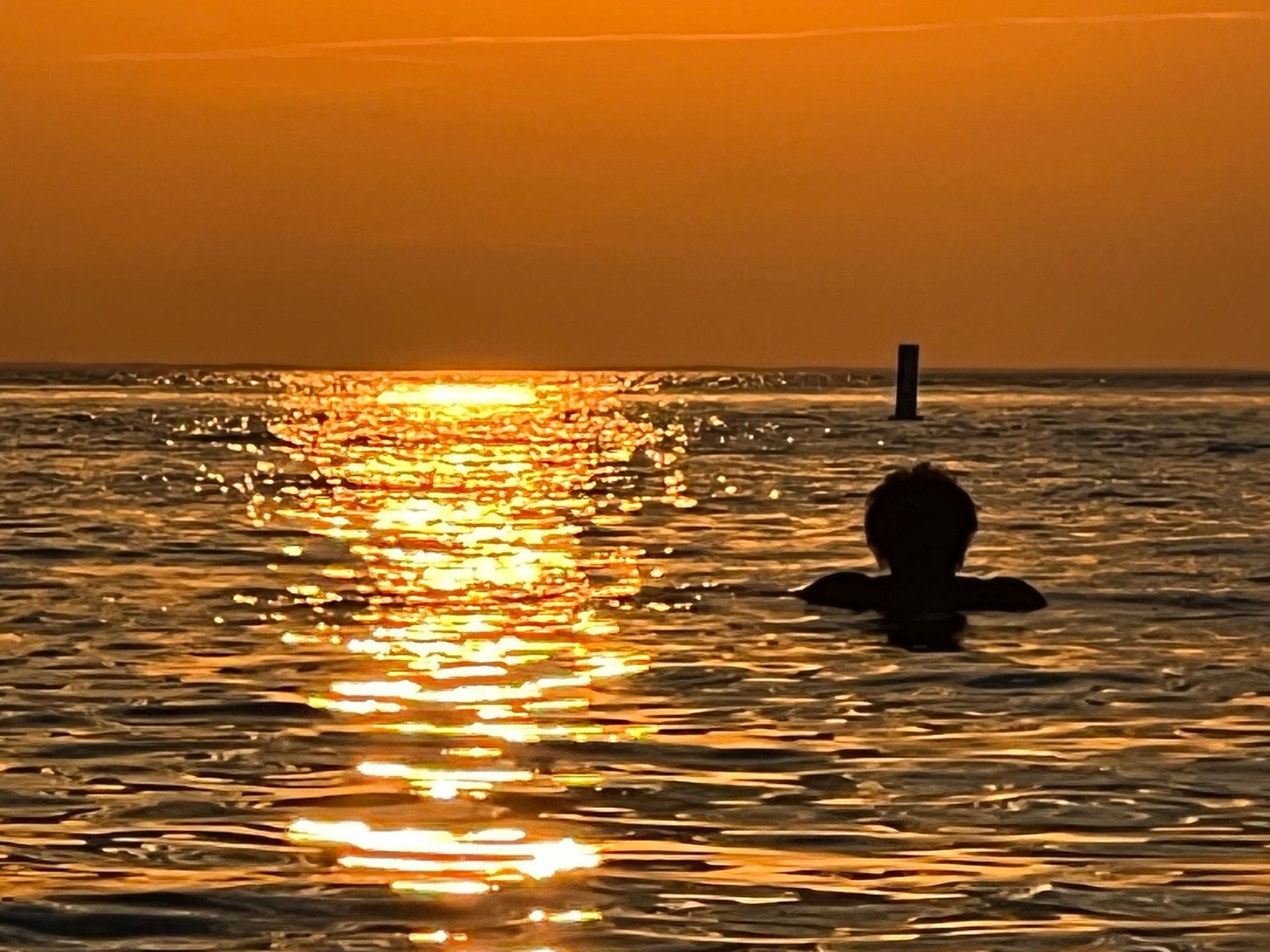 ocean