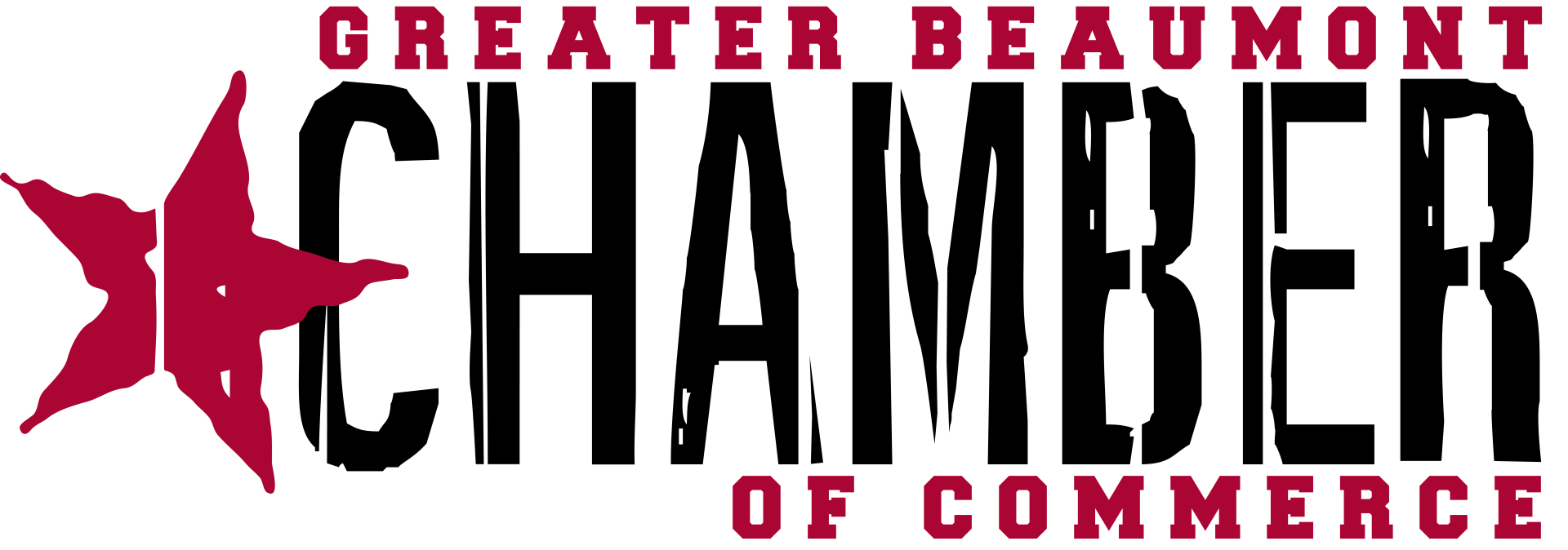 Greater Beaumont Chamber of Commerce at Scott's Import Service in Beaumont, TX