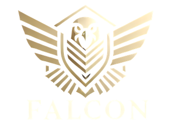 Falcon Falcon