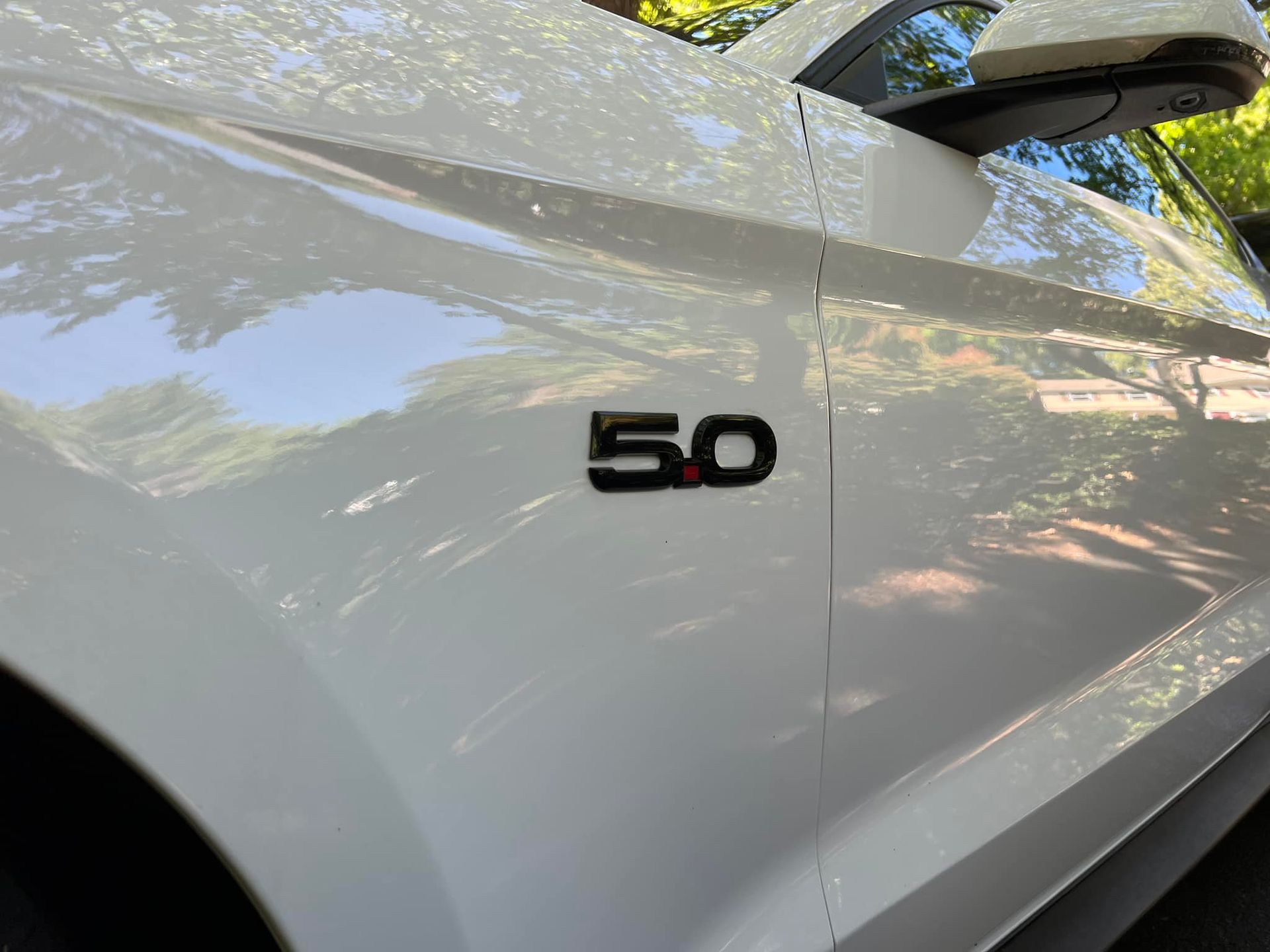 Close-up of a white car door with a black “5.0” badge and side mirror visible