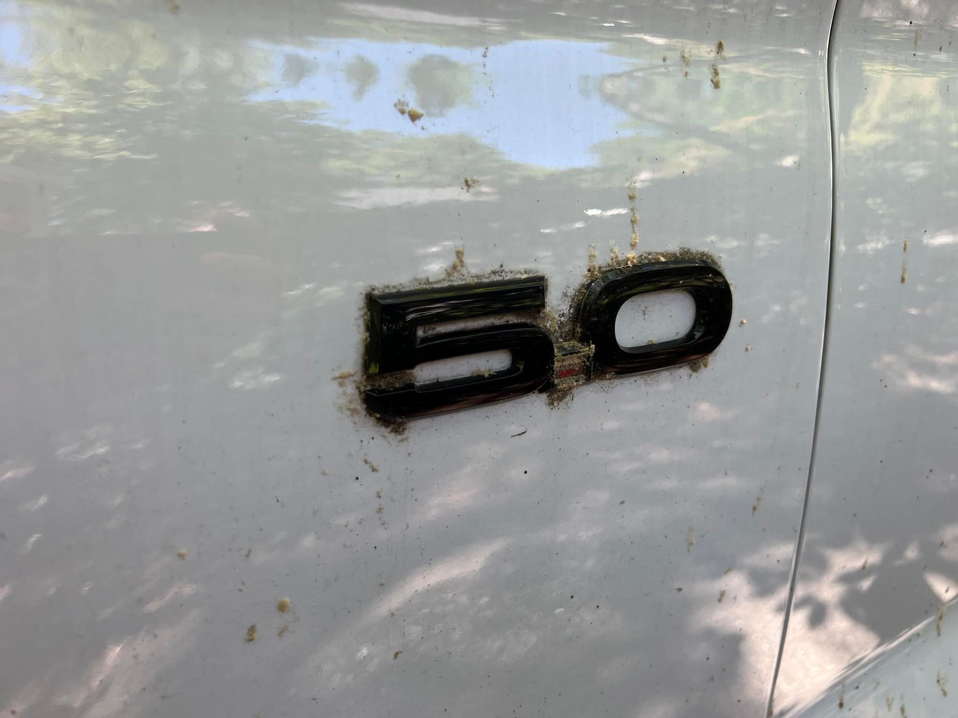Close-up of a white car badge reading “5.0” on a glossy panel