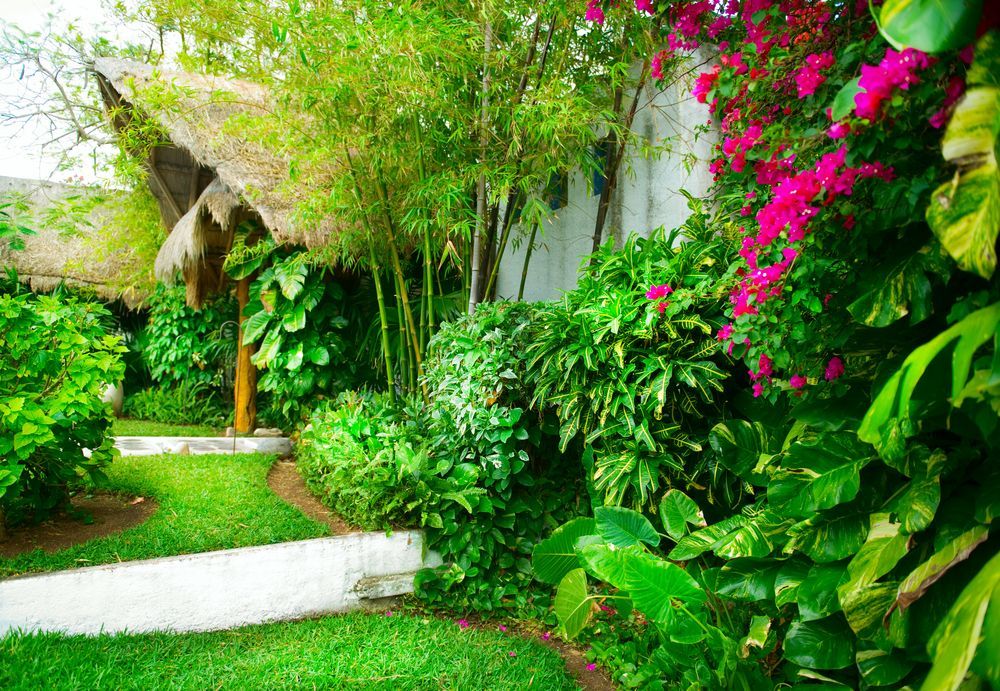 Exotic Landscaping Design — D-Scapes Landscaping Services Pty Ltd in Forster, NSW 