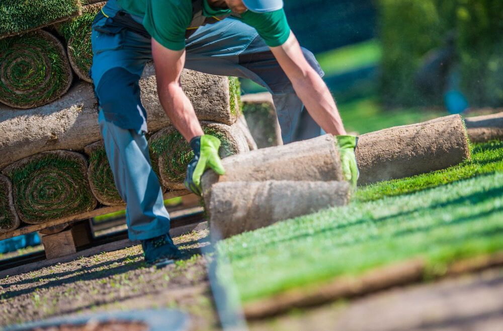 A Man Is Rolling up Rolls of Grass in A Yard — D-Scapes Landscaping Services Pty Ltd in Nabiac, NSW 