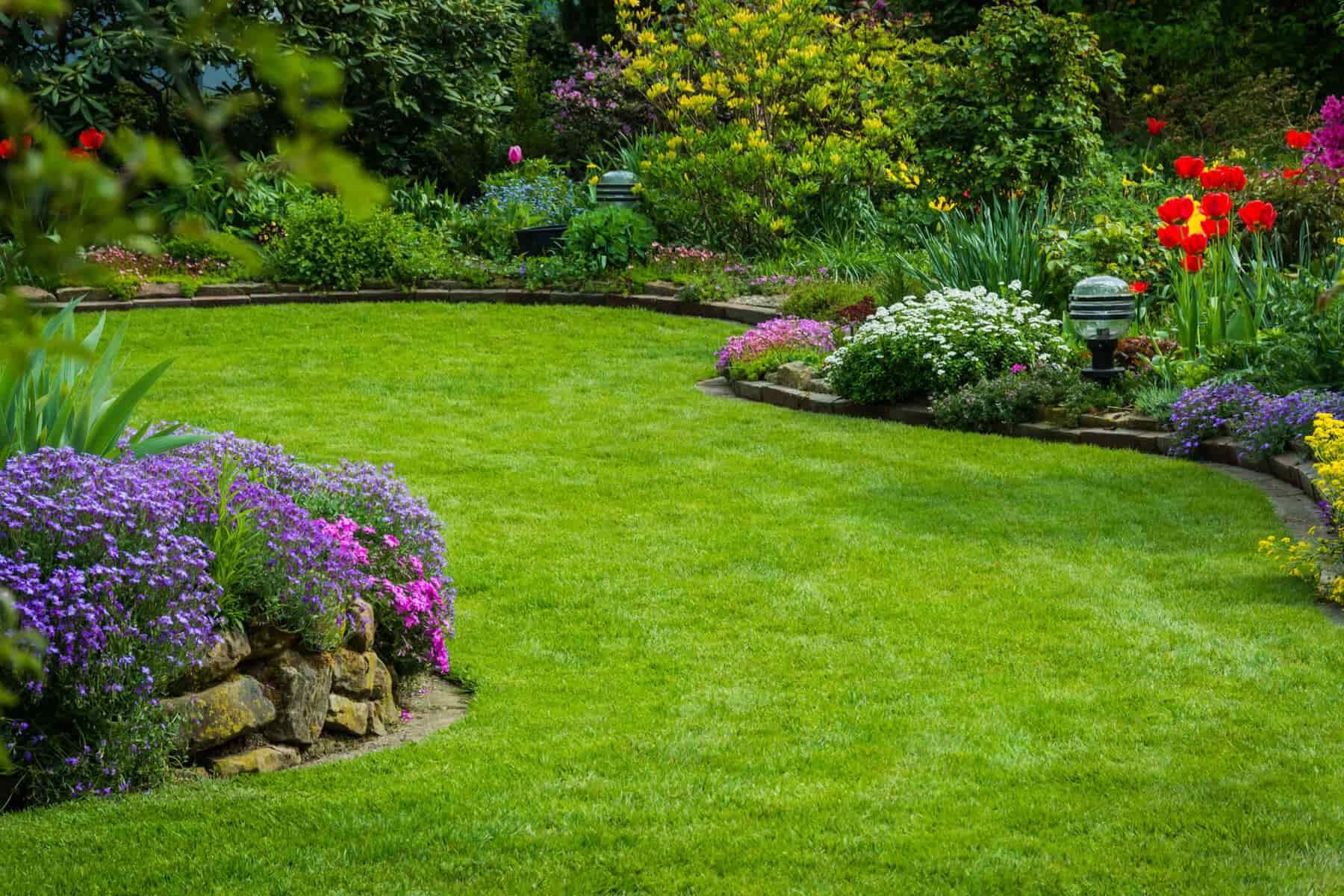 A Lush Green Lawn Surrounded by Flowers in A Garden — D-Scapes Landscaping Services Pty Ltd in Tuncurry, NSW