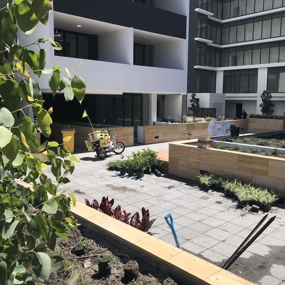 Commercial Landscaping — D-Scapes Landscaping Services Pty Ltd in Hallidays Point, NSW