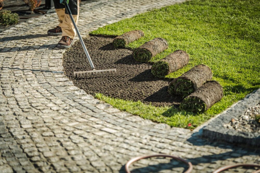 A Man Is Raking Grass Rolls on A Brick Sidewalk — D-Scapes Landscaping Services Pty Ltd in Tuncurry, NSW