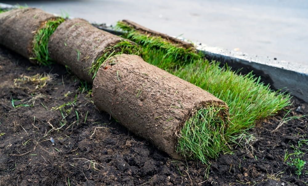 Two Rolls of Turf Are Sitting on Top of A Pile of Dirt — D-Scapes Landscaping Services Pty Ltd in Forster, NSW 