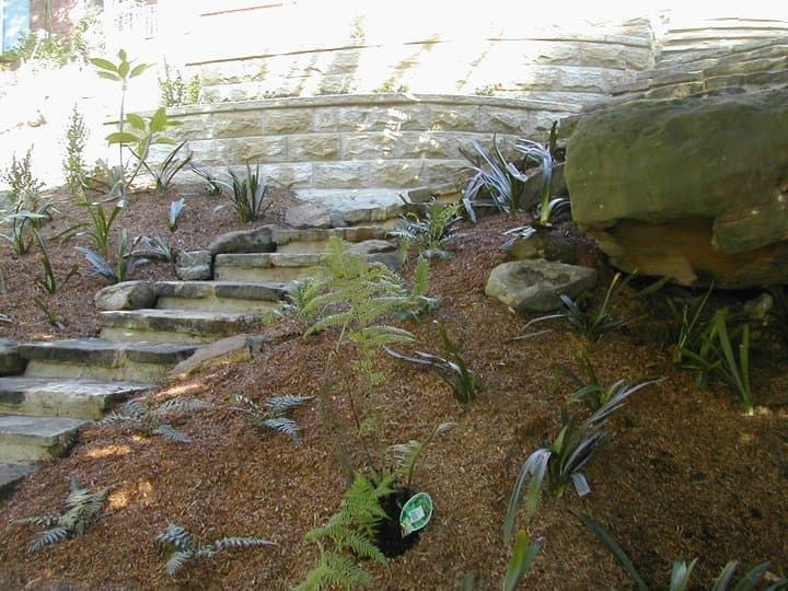 Landscaping — D-Scapes Landscaping Services Pty Ltd in Forster, NSW 