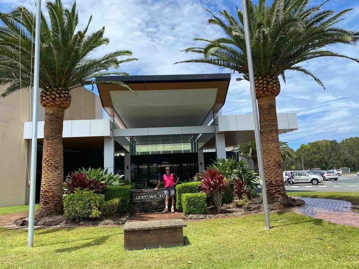 Newly Planted Palms — D-Scapes Landscaping Services Pty Ltd in Forster, NSW