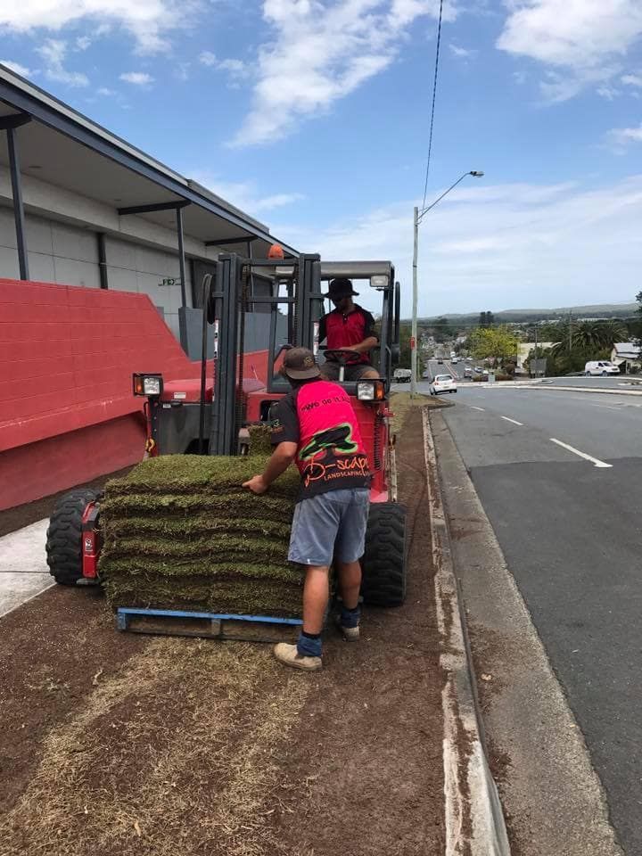 Turf Installation — D-Scapes Landscaping Services Pty Ltd in Hallidays Point, NSW