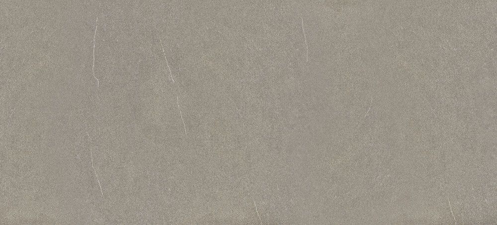 A solid, cool-toned gray slab with a subtle, fine-grained texture and faint, sporadic white veining.