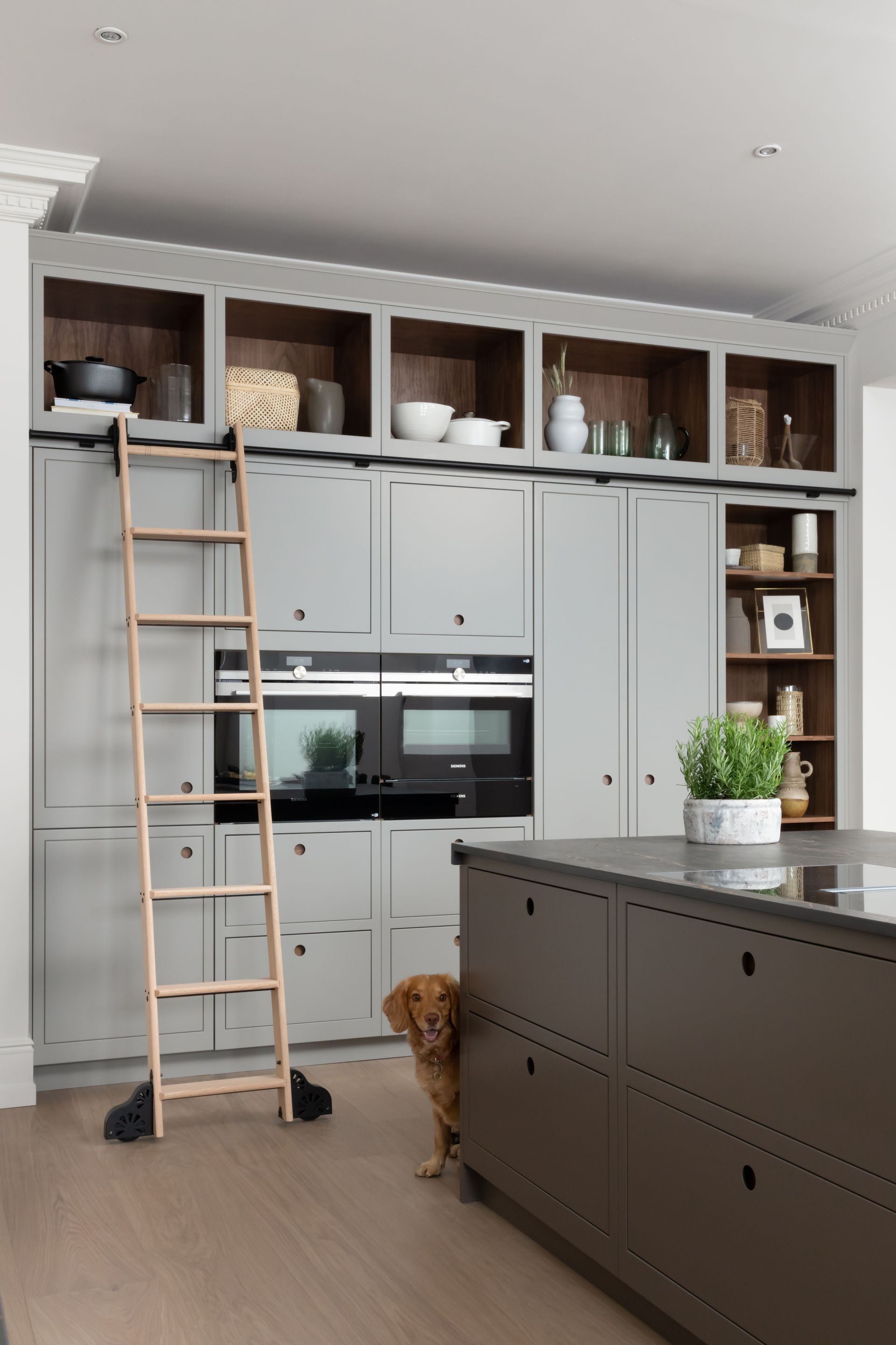 A modern grey kitchen featuring floor-to-ceiling cabinetry, an integrated oven, a sliding wooden ladder, and a pet dog.