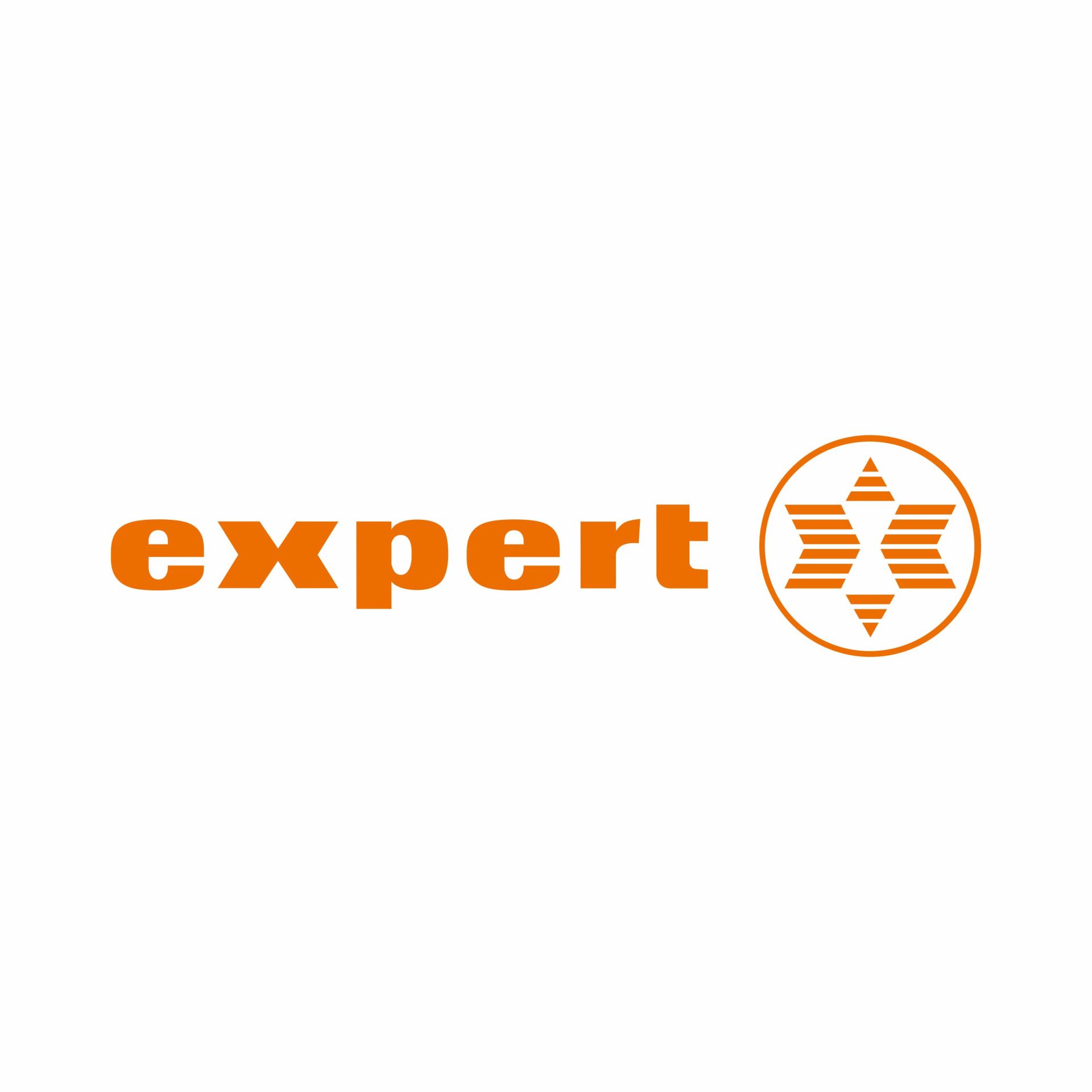 Expert
