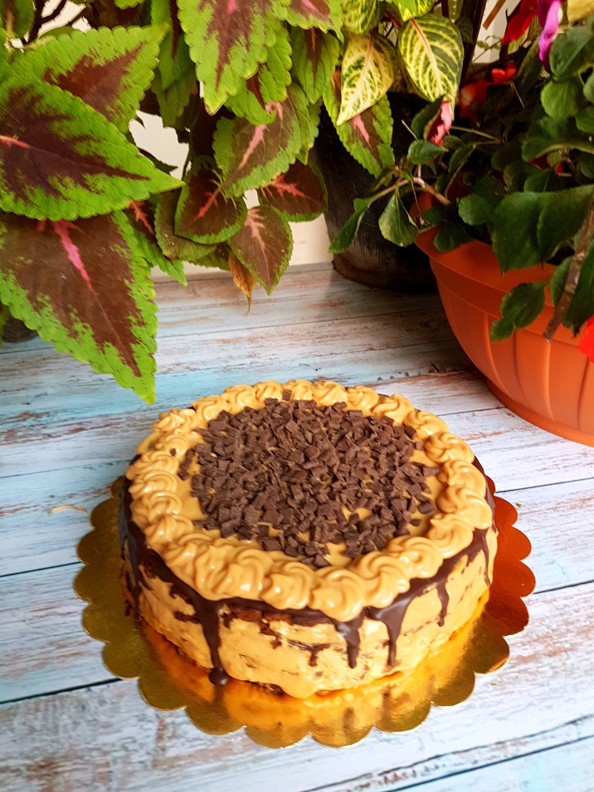 Chocotorta