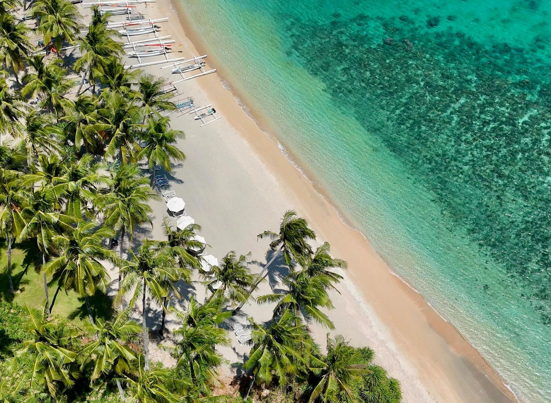 Aerial view of a tropical beach with palm trees, white sand, and clear turquoise water