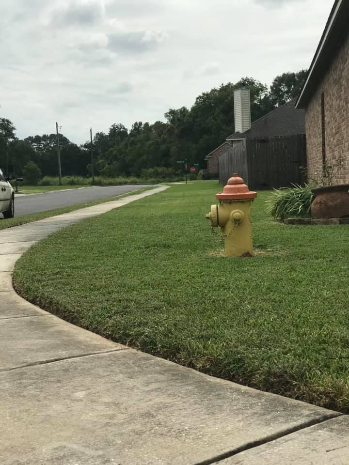 A yellow fire hydrant with an orange cap sits on a grassy lawn next to a concrete sidewalk in a residential neighborhood.