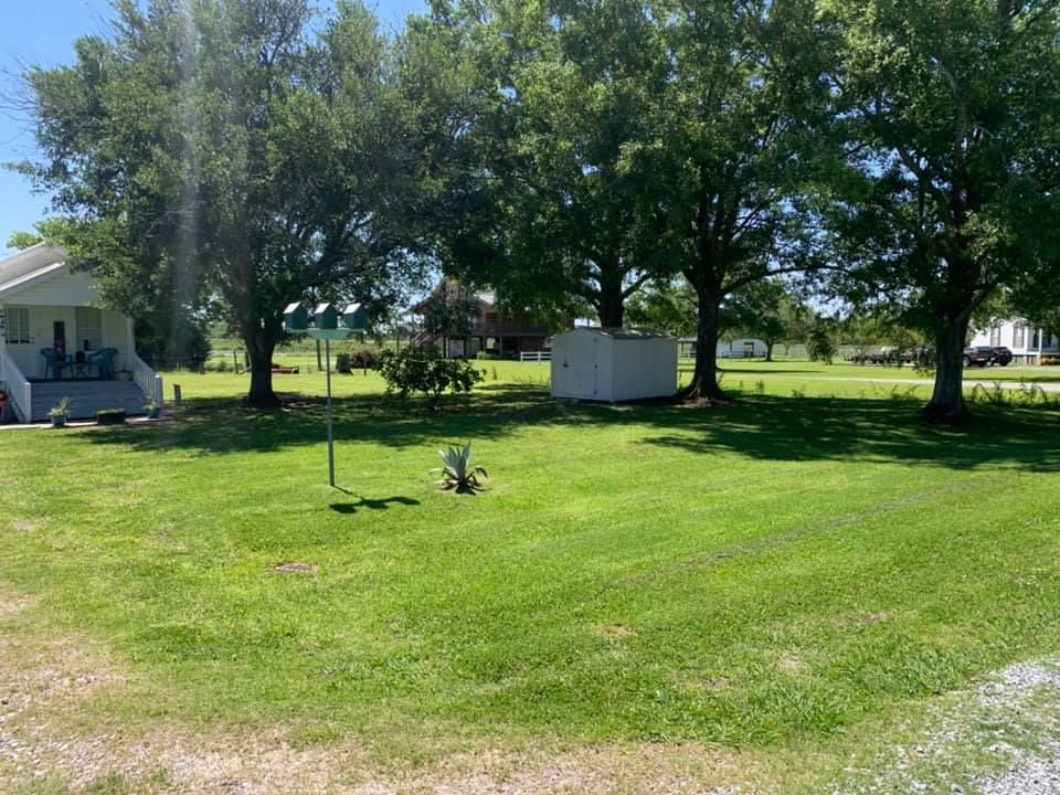 A bright, grassy lawn with mature trees, a small white shed, and a house porch under a clear blue sky.