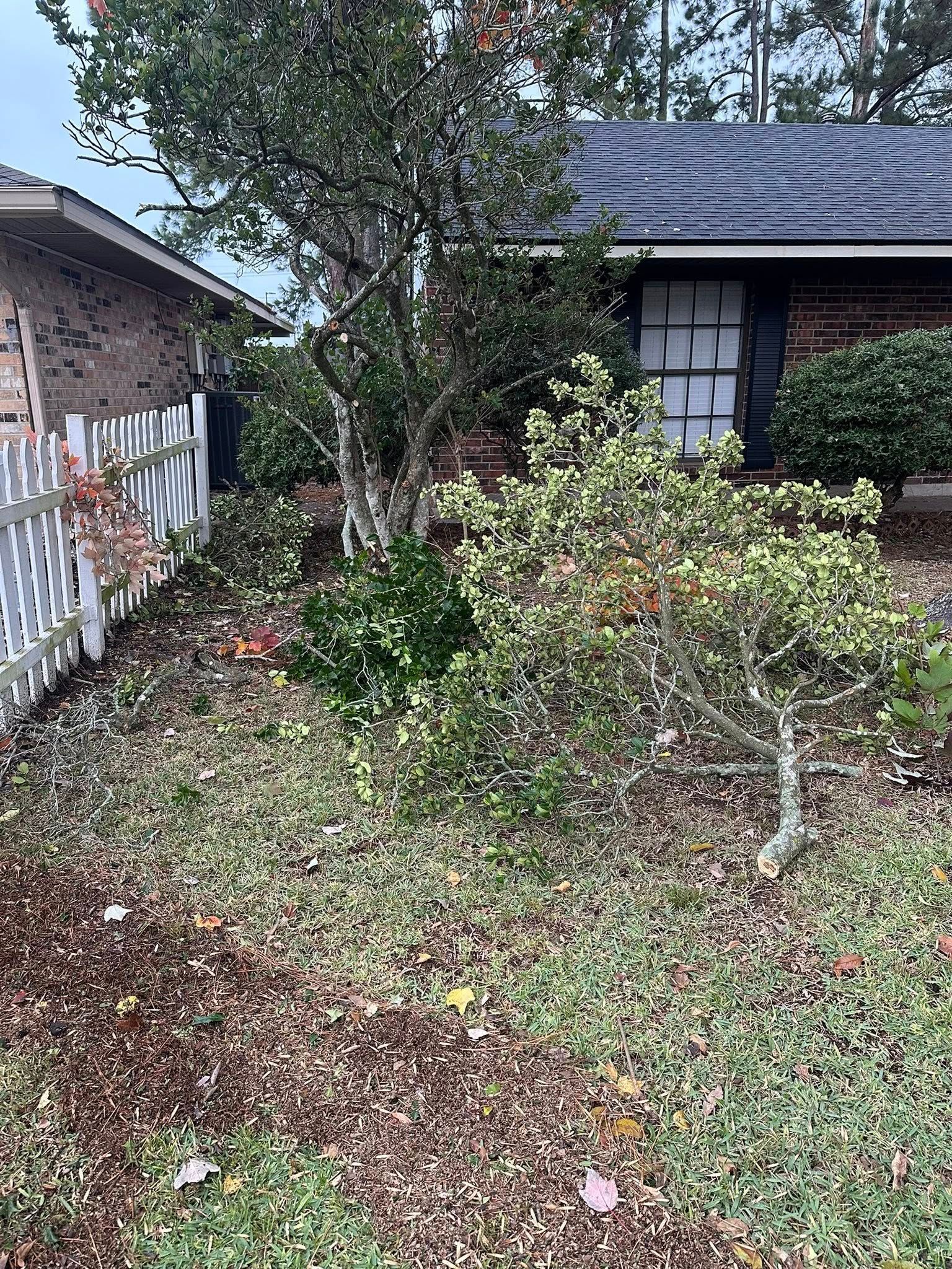 A white picket fence runs beside a residential yard with mulch, grass, various shrubs, and a small tree.