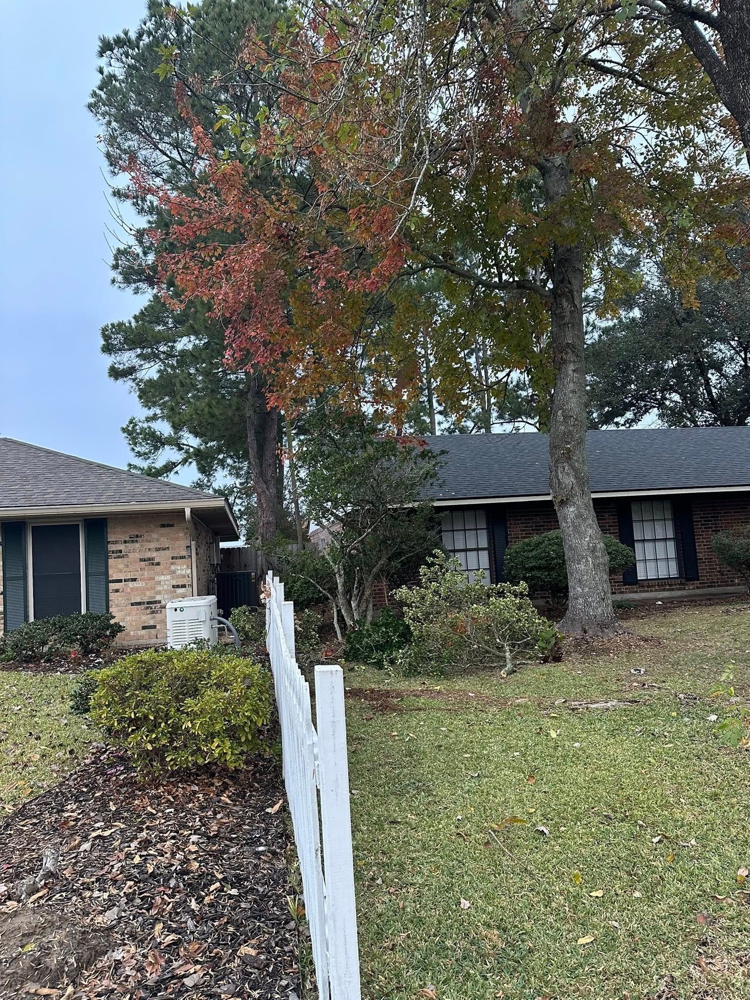 A white picket fence separates two brick houses surrounded by trees with autumn-colored leaves under a cloudy sky.