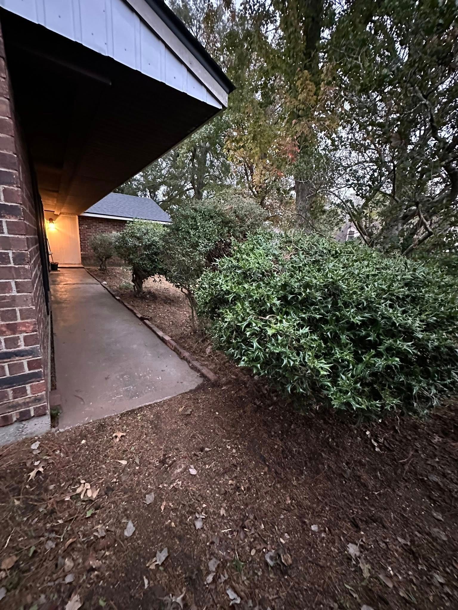A brick house exterior with a covered sidewalk leading past several green, rounded shrubs into a wooded area.