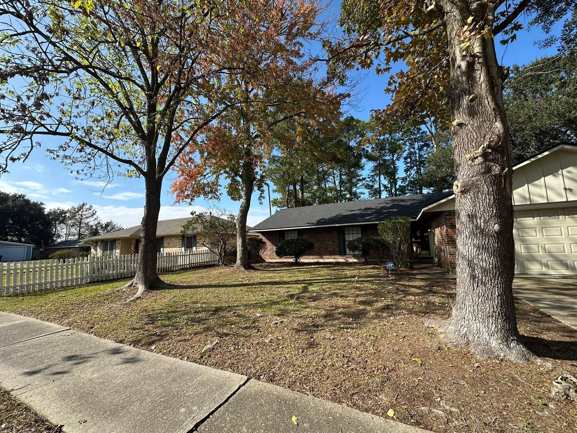 A suburban street scene showing two single-story houses partially hidden behind large, autumn-colored trees and a fence.
