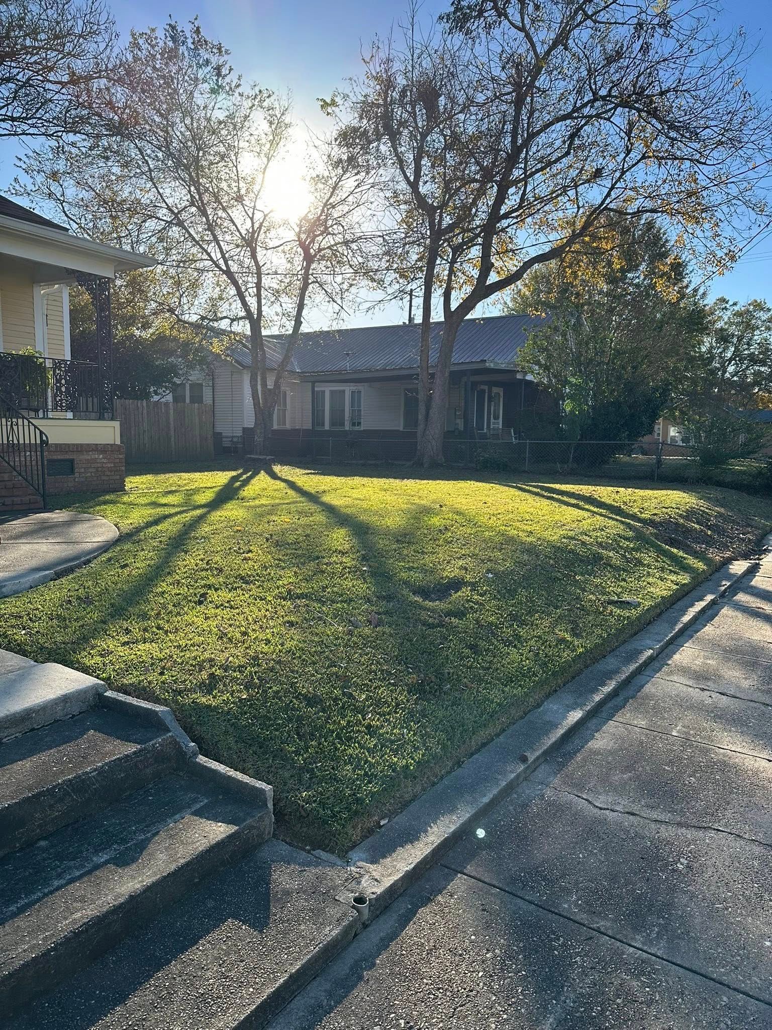 A sunlit front yard features a manicured green lawn, concrete steps, and a sidewalk, with houses in the background.