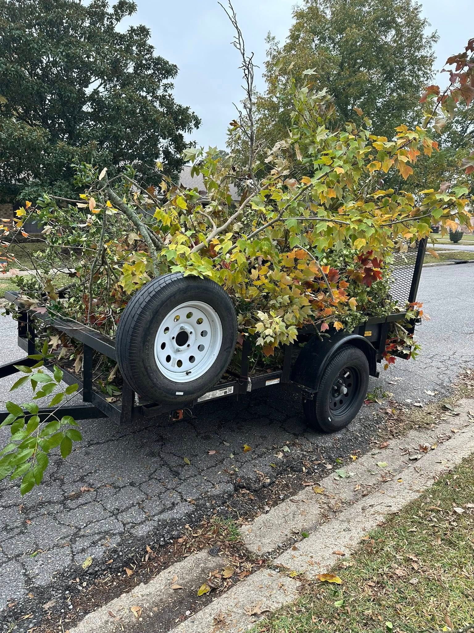 A small black utility trailer overflowing with green and yellow autumn tree branches, parked on a gravel roadside.