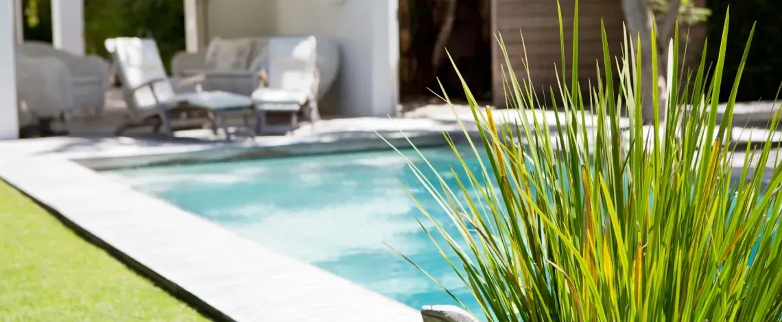 backyard pool landscape design massachusetts