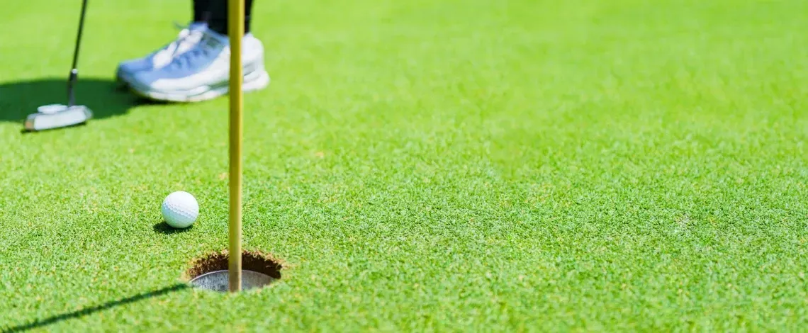 Backyard Putting Green Cost in Massachusetts: Installation & Turf Guide