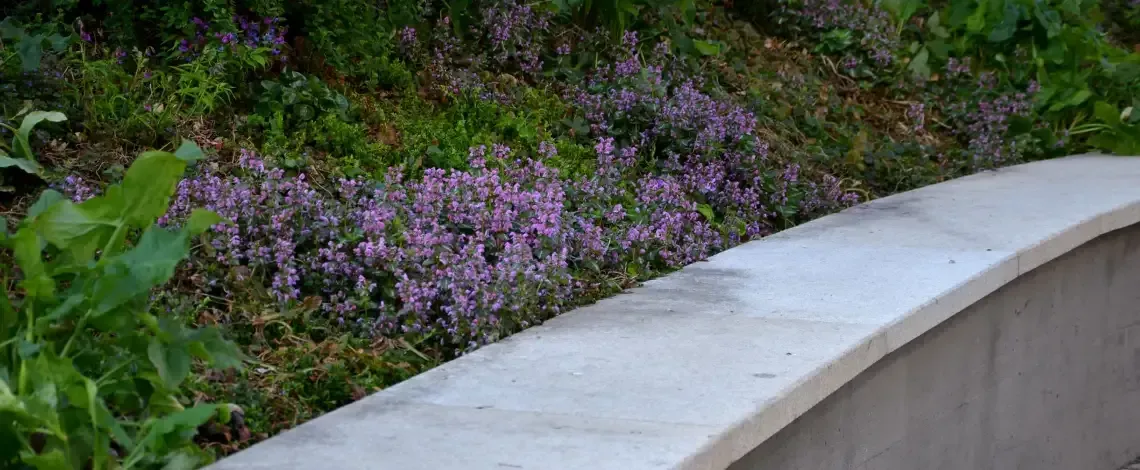 boston hardscape landscaping contractors questions