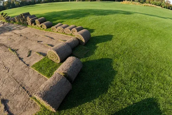 sod installation in rehoboth and dighton ma