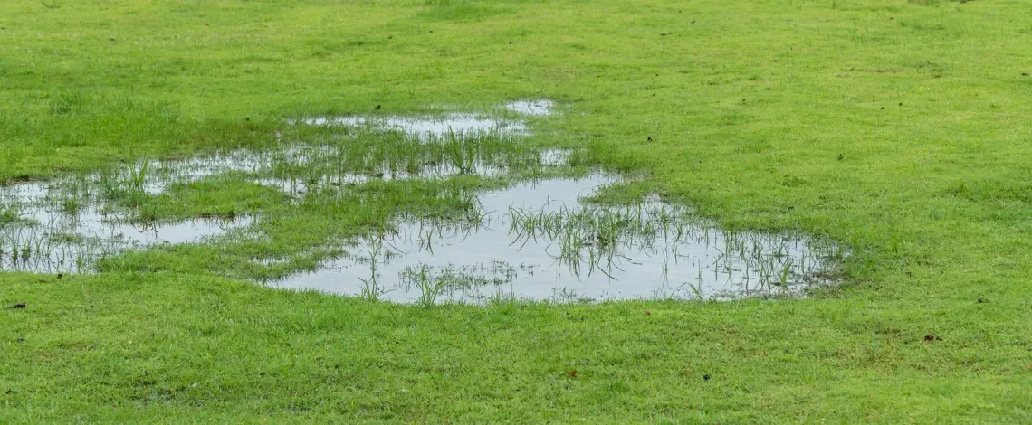 yard drainage problems in massachusetts signs and solutions