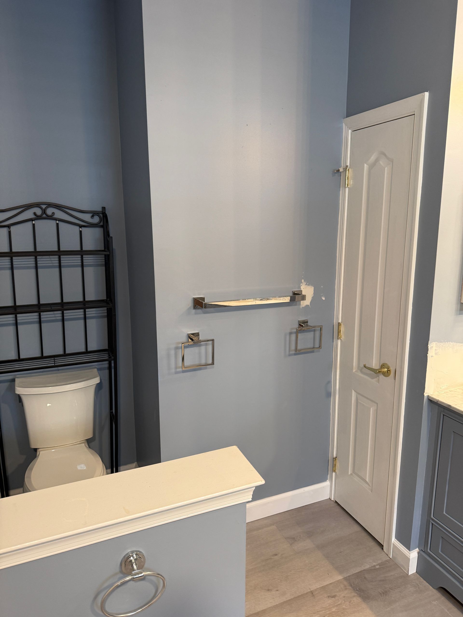 Blue bathroom with toilet, white vanity, towel ring, and door beside a tiled shower.