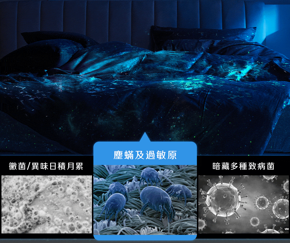 morphy richards 英國摩飛《蒸蟎易》蒸氣除蟎機 MBV-UP5G