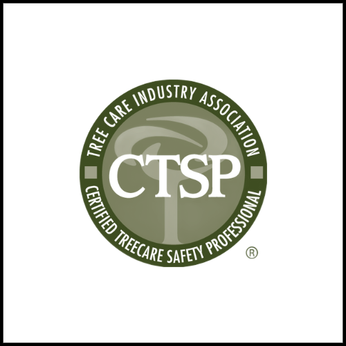 CTSP certified stump grinding in Lake and McHenry County. Mid-West Tree Experts Inc.