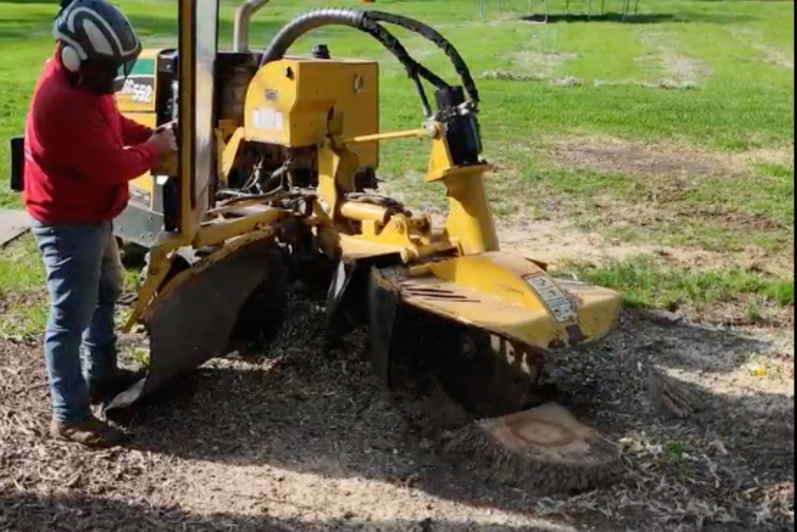 Vermeer stump grinding machine. Removing stump completely.