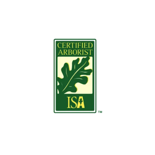 Certified Arborist tree services in Lake Zurich, IL. Mid-West Tree Experts Inc.