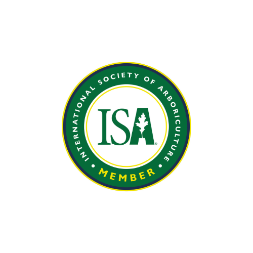 Trusted ISA certified tree services in Lake Zurich, IL.