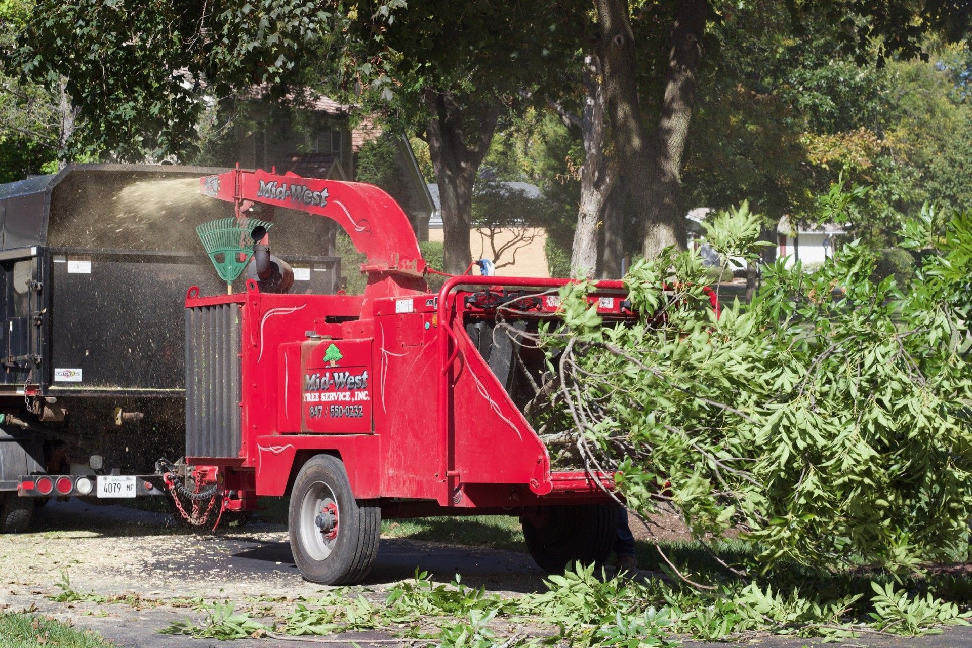 Making chips from twigs using a chipper in Lake Zurich, IL. Mid-West Tree Experts Inc.