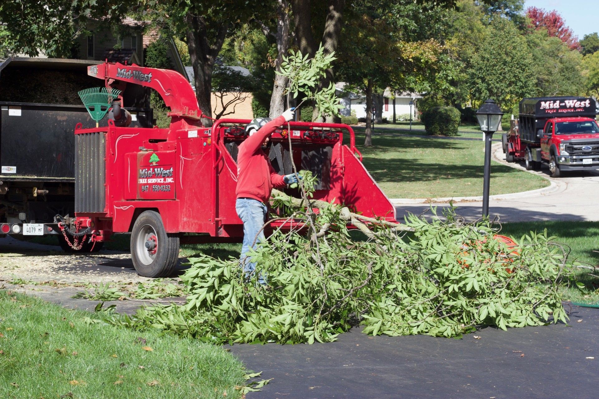 Using a tree chipper in Lake Zurich, IL by Mid-West Tree Experts Inc. crew.