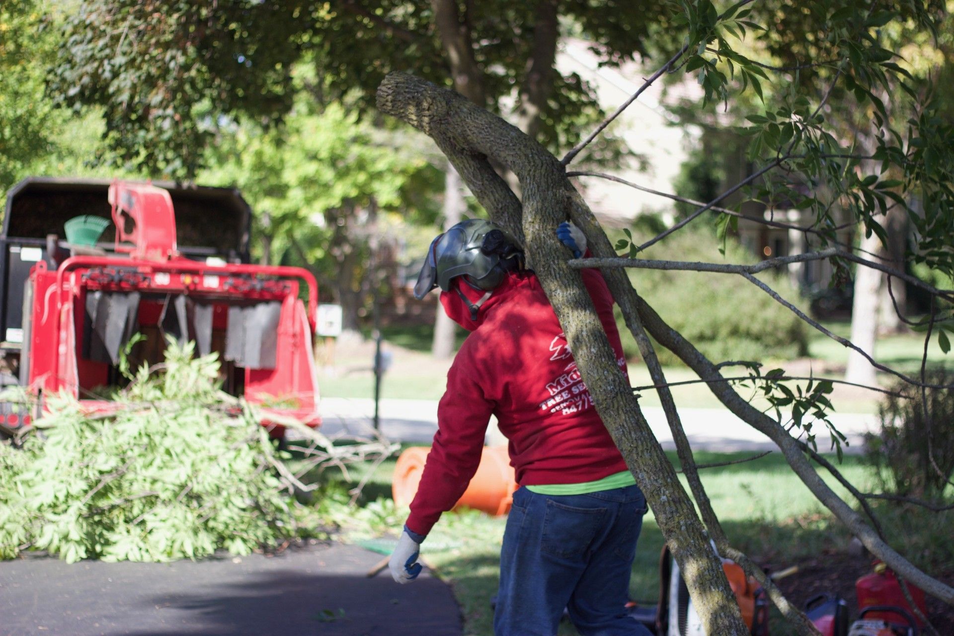 Tree removal in Lake Zurich, IL. Mid-West Tree Experts Inc.