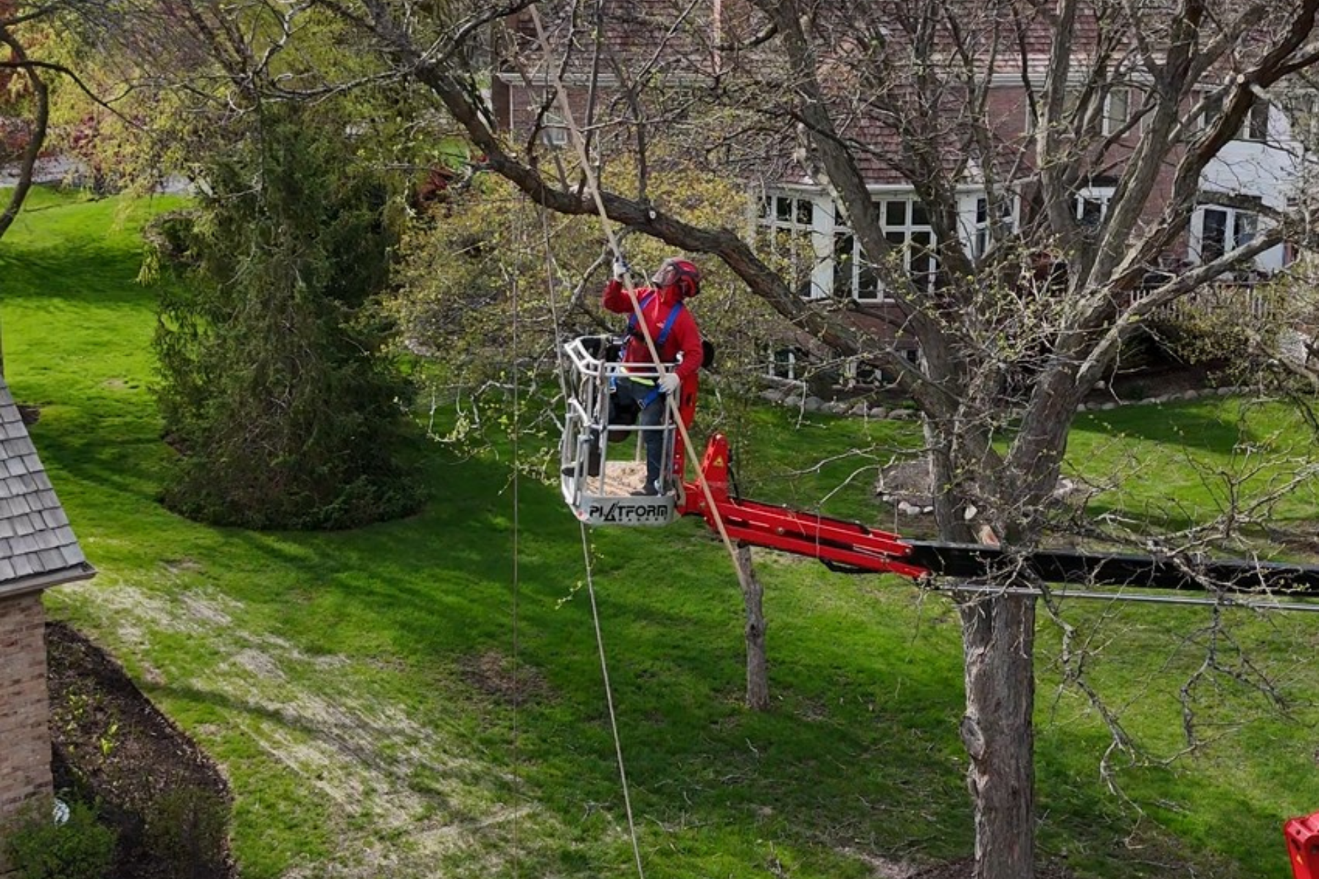 Using a spider tree lift for tree trimming in Lake Zurich, IL by Mid-West Tree Experts Inc.