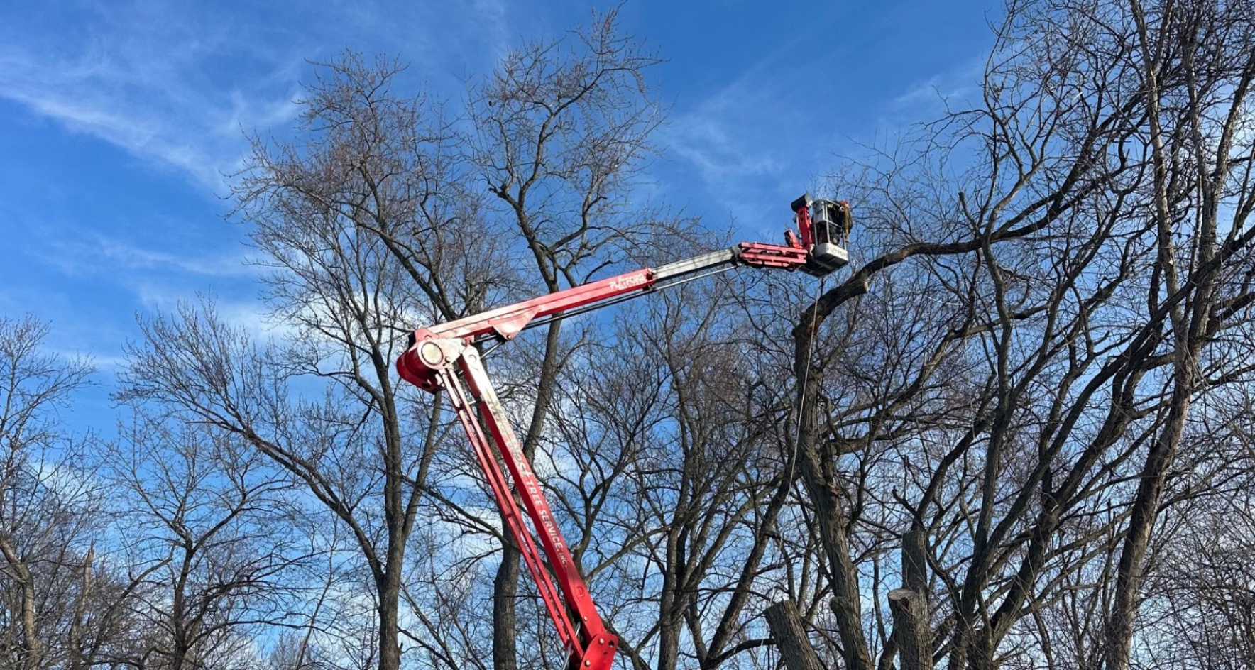 Tree trimming and pruning in Lake Zurich, IL using a spider lift. Mid-West Tree Experts Inc.