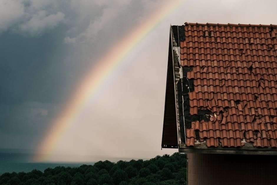 Photo by Sami  Aksu on Pexels
