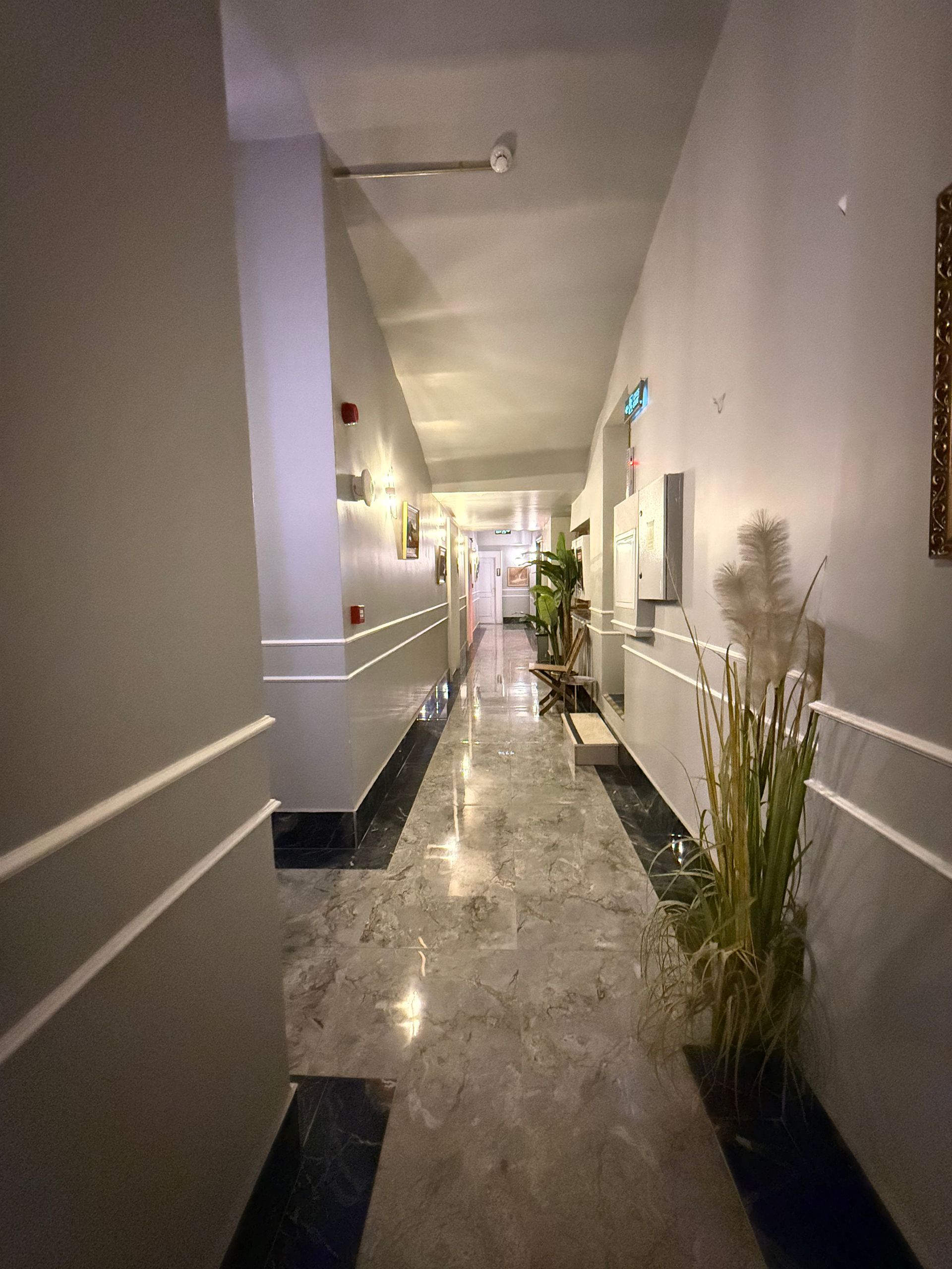 A long, indoor hallway with light-colored walls, gray marble floors, decorative trim, and a potted plant on the right.