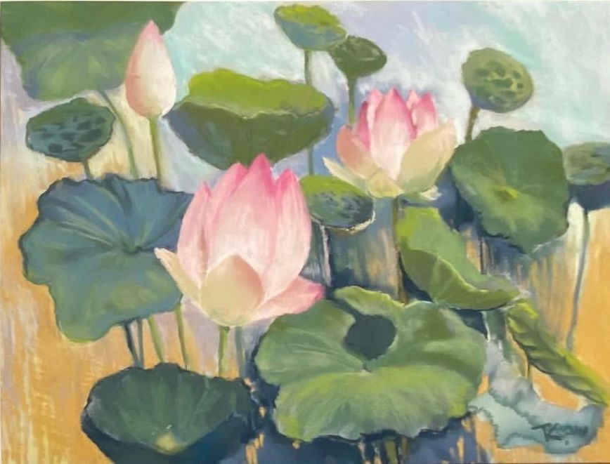 The Lotus Pond