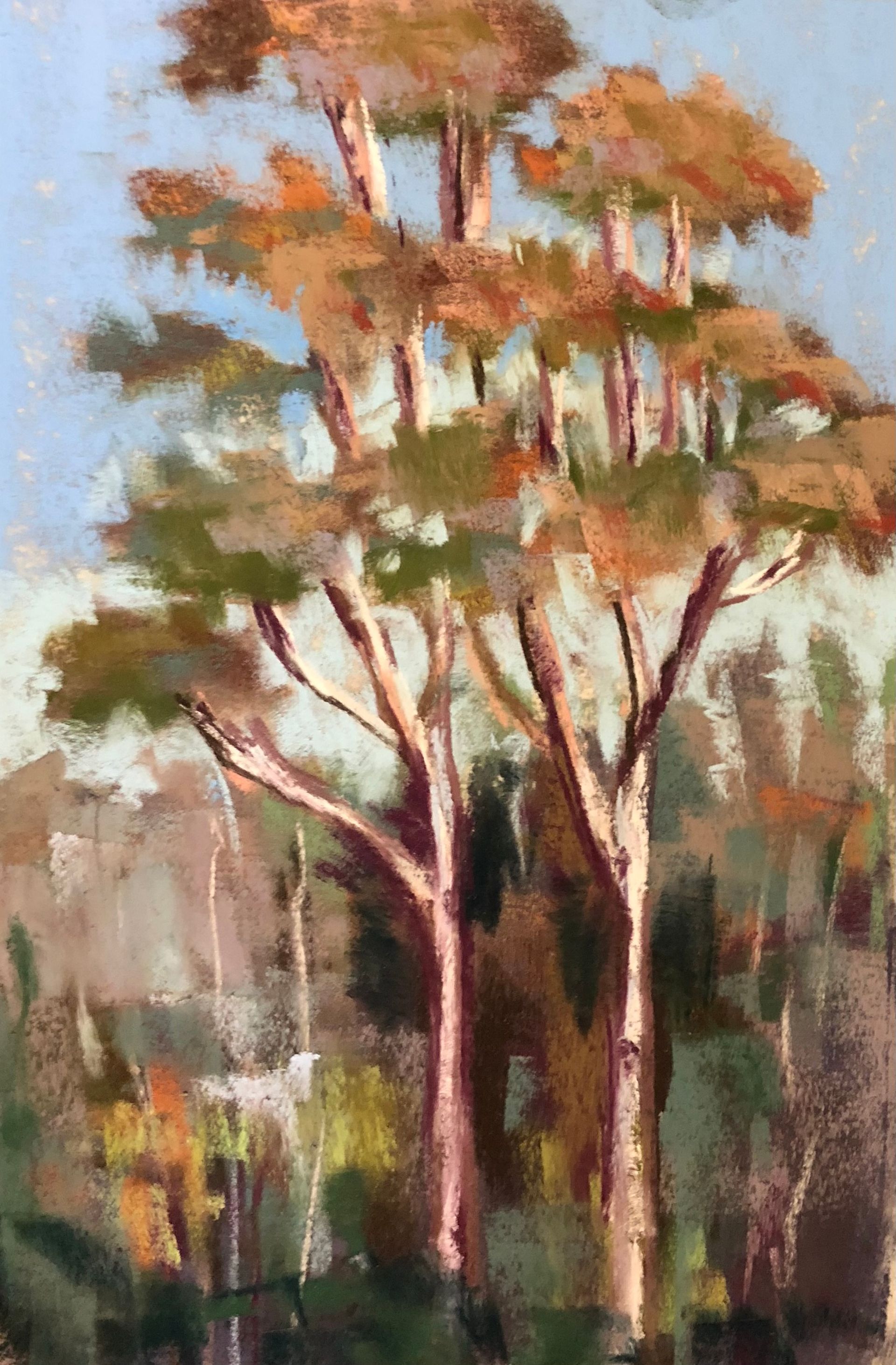 Fall Trees
