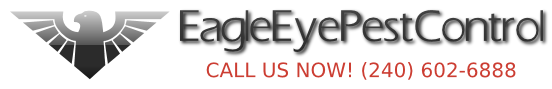 Eagle Eye Pest Control LLC